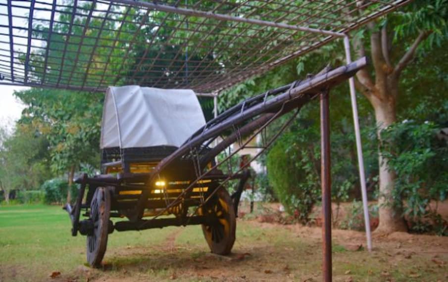 Tiger Machan Resort-4